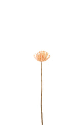 Leucospermum Plastiek Licht Oranje Small